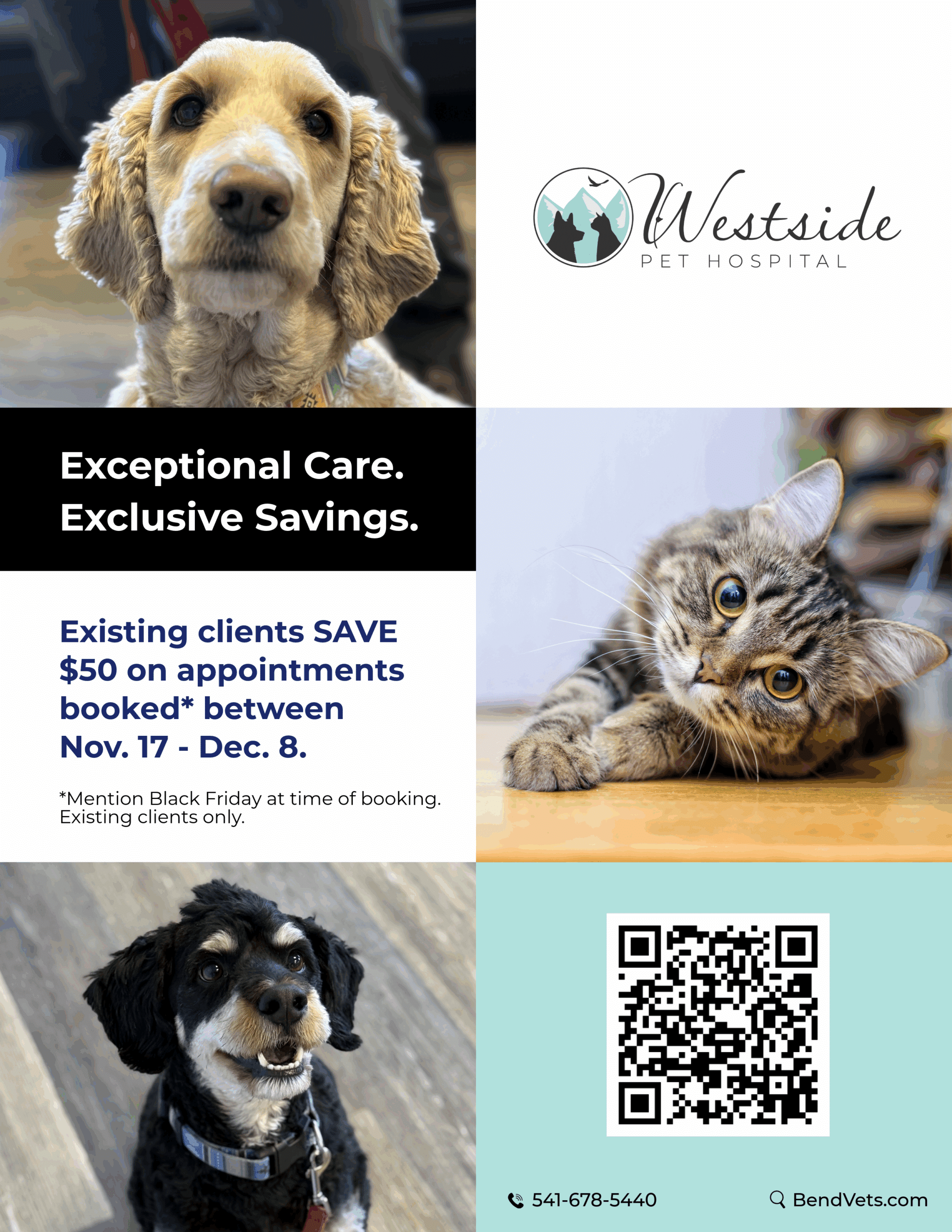 Black Friday Special