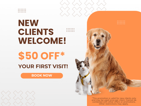 New Client promotion